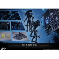 Hot Toys - MMS354 - Aliens - Alien Warrior 