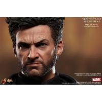 Hot Toys - The Wolverin - Wolverin