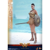 Hot Toys – MMS424 – Wonder Woman –  Wonder Woman (Training Armor Version)