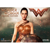 Prime1 Studio - Wonder Woman in Training Costume Statue