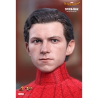 Hot Toys - MMS425 - Spider-Man: Homecoming - 1/6th scale Spider-Man Collectible Figure