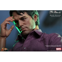 Hot Toys - The Avengers - Bruce Banner
