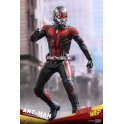 Hot Toys - MMS497 - Ant-Man and the Wasp - 1/6th scale Ant-Man Collectible Figure
