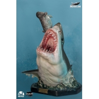 Infinity Studio - Museum Series - Carcharodon carcharias (Great White Shark) 