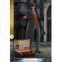 Hot Toys - MMS512 - Fantastic Beasts: The Crimes of Grindelwald - 1/6th scale Newt Scamander Collectible Figure