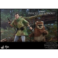 [Pre-Order] Hot Toys - MMS550 - Star Wars: Return of the Jedi - 1/6th scale Wicket Collectible Figure