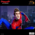 Iron Studios - Peter B. Parker BDS Art Scale 1/10 - Spider-Man: Into the Spider-Verse