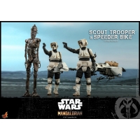 [Pre-Oder] Hot Toys - TMS016 - The Mandalorian - 1/6th scale Scout Trooper Collectible Figure