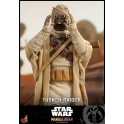 Hot Toys - TMS028 - Star War: The Mandalorian - 1/6th scale Tusken Raider™ Collectible Figure