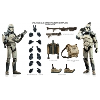Sideshow - Sixth Scale Figure - Wolfpack Clone Trooper 104th Battalion
