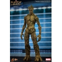 [PO]Hot Toys - Guardians of Galaxy - Groot