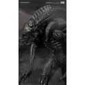 [Pre-Order] XM STUDIO - Alien Hive - Warrior - Black Variant Supreme Scale Series Statue