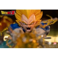 Ryu Studio - Dragon Ball Z - Vegeta final flash