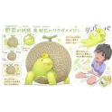 Animal Planet X dodowo X Ponkichi Fruit Fairy - Melon Turtle