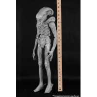 NECA - Alien – 1/4 Scale Action Figure – 1979 Alien