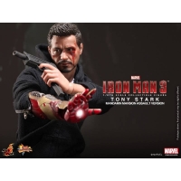 Hot Toys - Iron Man 3 - Tony Stark (The Mechanic)