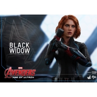 Hot Toys - Avengers: Age of Ultron:  Black Widow 