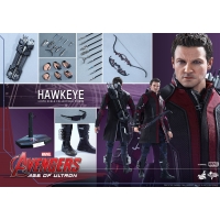 [PO] Hot Toys - Avengers: Age of Ultron: Hawkeye  