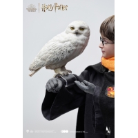 INART - 1/6 Harry Potter - Harry Potter Hogwarts Uniform 1/6 Collectible Figures (Deluxe Version)