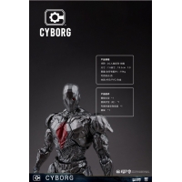 FondJoy - 1/9 Cyborg 