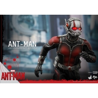 Hot Toys - Ant-Man
