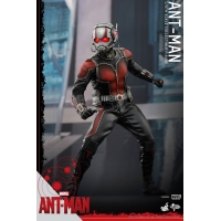 Hot Toys - Ant-Man