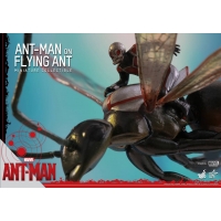 Hot Toys - ANT-MAN ON FLYING ANT